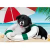 Image de Puzzle 104 pièces : Plage ensoleillée Clementoni-25767