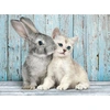Image de Puzzle 500 pièces : Chaton et lapin Clementoni-35004
