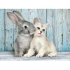Image de Puzzle 500 piÃ¨ces : Chaton et lapin