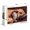 Image de Puzzle 500 piÃ¨ces : Tendresse animale
