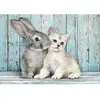 Image de Puzzle 500 pièces + poster : Chat et Lapin Clementoni-35539