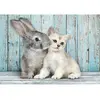 Image de Puzzle 500 piÃ¨ces + poster : Chat et Lapin