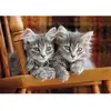 Image de Puzzle Compact 500 pièces : Chatons Clementoni-35580