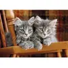 Image de Puzzle Compact 500 piÃ¨ces : Chatons