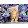 Image de Puzzle Compact 500 pièces : Le Chat Roux Clementoni-35585
