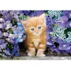 Image de Puzzle Compact 500 piÃ¨ces : Le Chat Roux