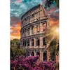 Image de Puzzle Compact 500 piÃ¨ces : AmphithÃ©Ã¢tre Flavien