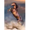Image de Puzzle Compact 500 pièces : Etalon rouge sauvage Clementoni-35595