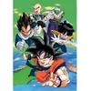 Image de Puzzle Compact 1000 pièces : Dragon Ball Clementoni-37051