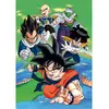 Image de Puzzle Compact 1000 piÃ¨ces : Dragon Ball