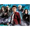 Image de Puzzle 1000 piÃ¨ces : Harry Potter