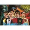 Image de Puzzle 1000 piÃ¨ces : Harry Potter : La Coupe de feu