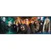 Image de Puzzle panoramique 1000 piÃ¨ces : Harry Potter