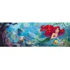 Image de Puzzle Panorama 1000 piÃ¨ces : La Petite SirÃ¨ne