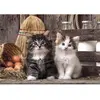 Image de Puzzle Compact 1000 pièces : Adorables chatons Clementoni-39943