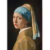 Image de Puzzle Compact 1000 piÃ¨ces : Vermeer - La Jeune Fille Ã  la Perle