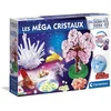 Image de Les méga cristaux