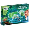 Image de Science et jeu : La cité des fourmis Clementoni-52757