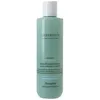 Image de Shampooing antipelliculaire Amethyste Specific Care Farmavita 250ml