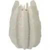 Image de Vase en résin Mauro Ferretti Ester Multicolore 26x40 cm 0421700003