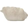 Image de Vase Mauro Ferretti Shell B Beige 35x23x18 cm 042182000B