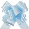 Image de Sachet 10 Grands noeuds, Ciel 000183100500006
