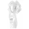 Image de Un noeud automatique en tulle pans longs,  Blanc 000251801000001