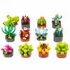 Image de Fleurs exotiques à construire