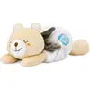 Image de Peluche Chauffante Ourson