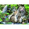 Image de Puzzle 1000 pièces - Tigres blancs du Bengale Educa-14808