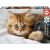 Image de Puzzle 200 pièces : Chaton Educa-17154