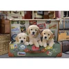 Image de Puzzle 500 piÃ¨ces : Des chiots dans les bagages