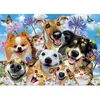 Image de Puzzle 500 piÃ¨ces : Fun in the sun : Selfie