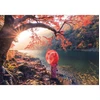 Image de Puzzle 1000 piÃ¨ces : Lever du soleil sur le fleuve Katsura, Japon