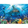 Image de Puzzle 500 pièces : Grand requin blanc Educa-18478