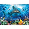 Image de Puzzle 500 piÃ¨ces : Grand requin blanc