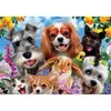 Image de Puzzle 200 piÃ¨ces : Selfie d'animaux