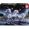 Image de Puzzle 1000 pièces : Licornes, Anne Stokes Educa-19919