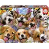 Image de Puzzle 1000 pièces : Chiots Selfie, Howard Robinson Educa-19931
