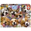 Image de Puzzle 1000 pièces : Chiots Selfie, Howard Robinson