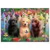 Image de Puzzle 100 piÃ¨ces : Chiots