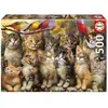Image de Puzzle 500 piÃ¨ces : CHATONS ET OISEAUX