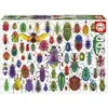 Image de Puzzle 500 pièces : SCARABÉES Educa-20252