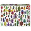 Image de Puzzle 500 piÃ¨ces : SCARABÃES