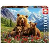 Image de Puzzle 1000 pièces : Ours grizzlys au Canada Educa-20553