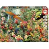 Image de Puzzle 2000 pièces : Oiseaux d'Amazonie Educa-20574