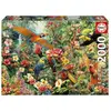 Image de Puzzle 2000 piÃ¨ces : Oiseaux d'Amazonie