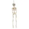 Image de Squelette Articulé 45 cm PVC S4387