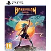 Image de Barbarian Saga The Beastmaster PS5