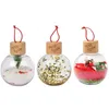 Image de Lot de 3 boules de Noël sensorielles Christmas